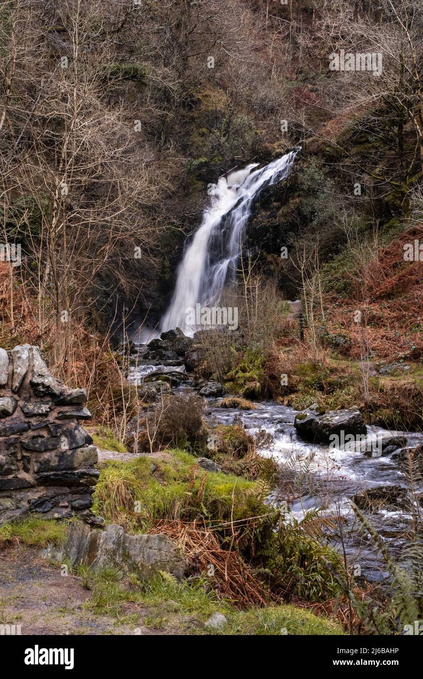Grey Mare's Tail Waterfall and burn in winter, Galloway Forest Park, Scotland Stock Photo