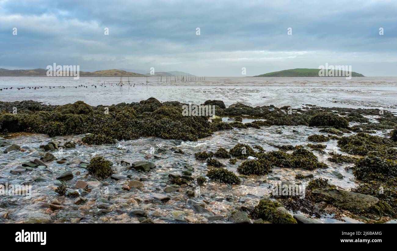 Stream flowing balcary bay low hi-res stock photography and images - Alamy