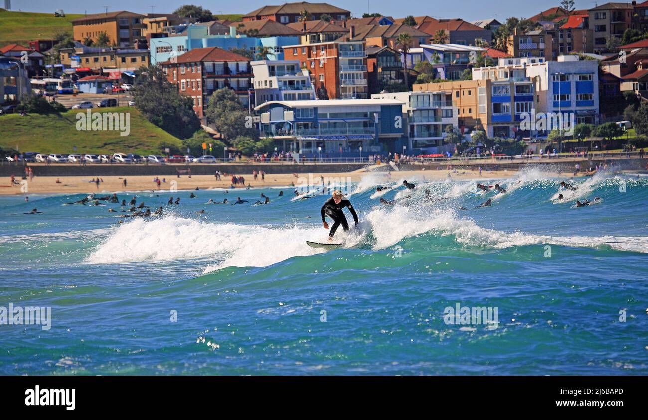 Surfer at Bondi beach, close to Sydney, surfer paradise, South Australia, Australia Stock Photo