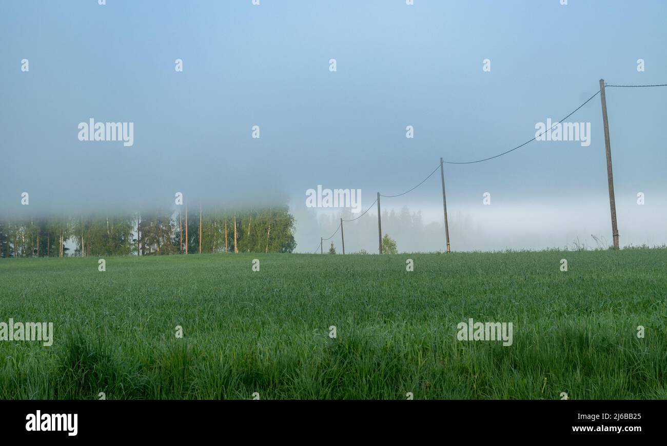 Interesting fog landscape trees hi-res stock photography and images - Alamy