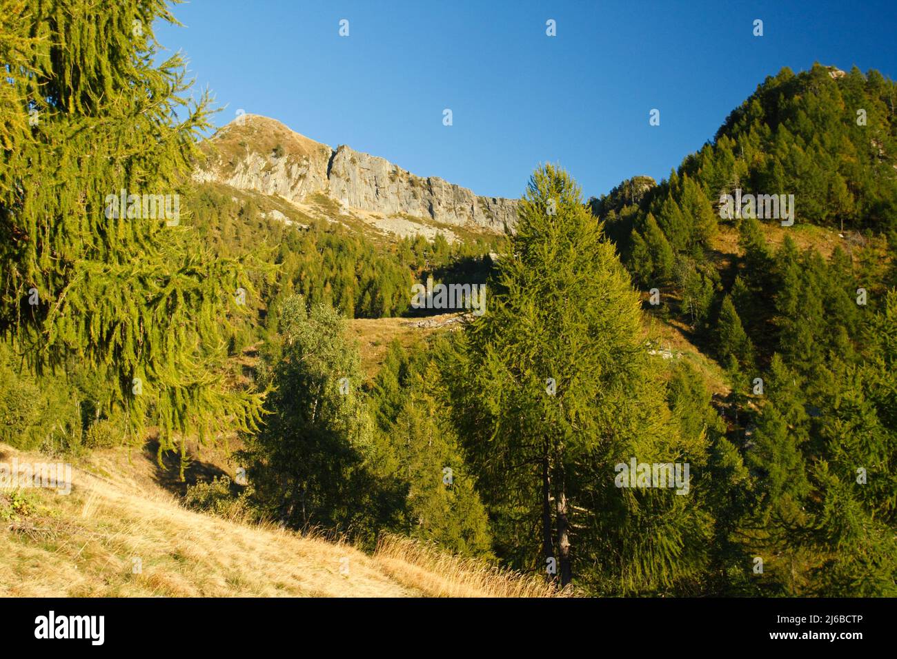 Beautiful view of the mountains of Val Grande, Italy Stock Photo