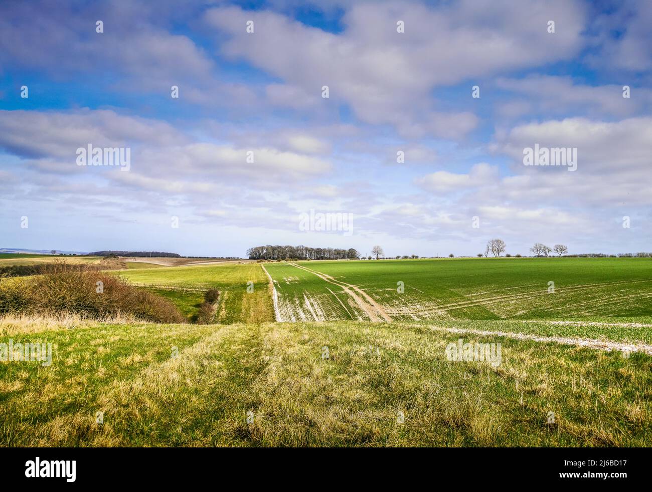 A view of the rolling hills and agricultural landscape of the Yorkshire Wolds Stock Photo