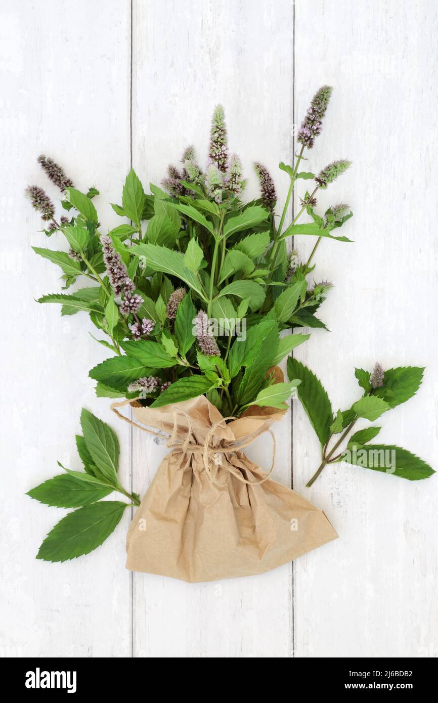 Peppermint herb leaves in a bunch in a brown paper bag. Used in food seasoning and herbal plant