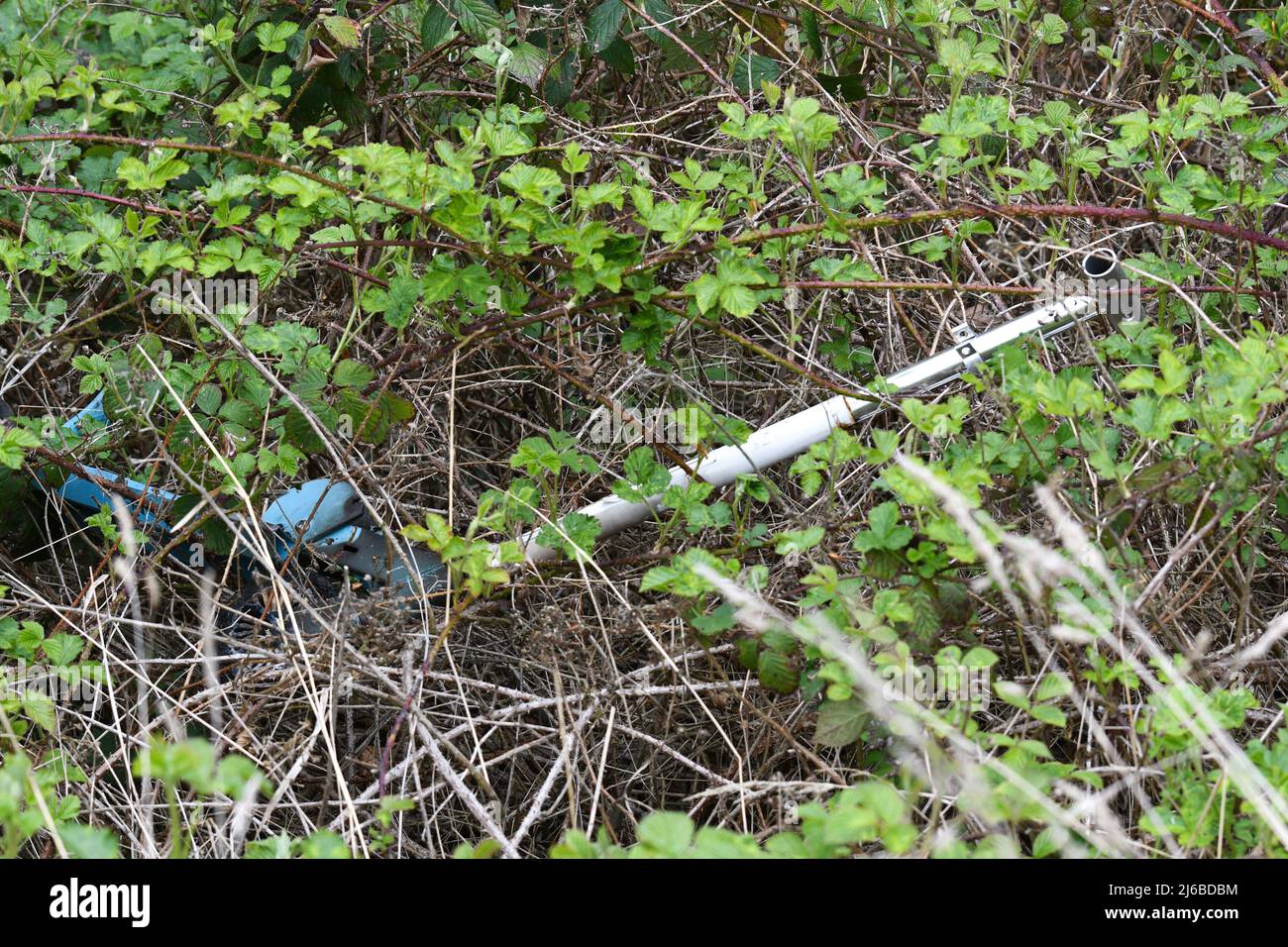 bicycle dumped in brambles Stock Photo - Alamy