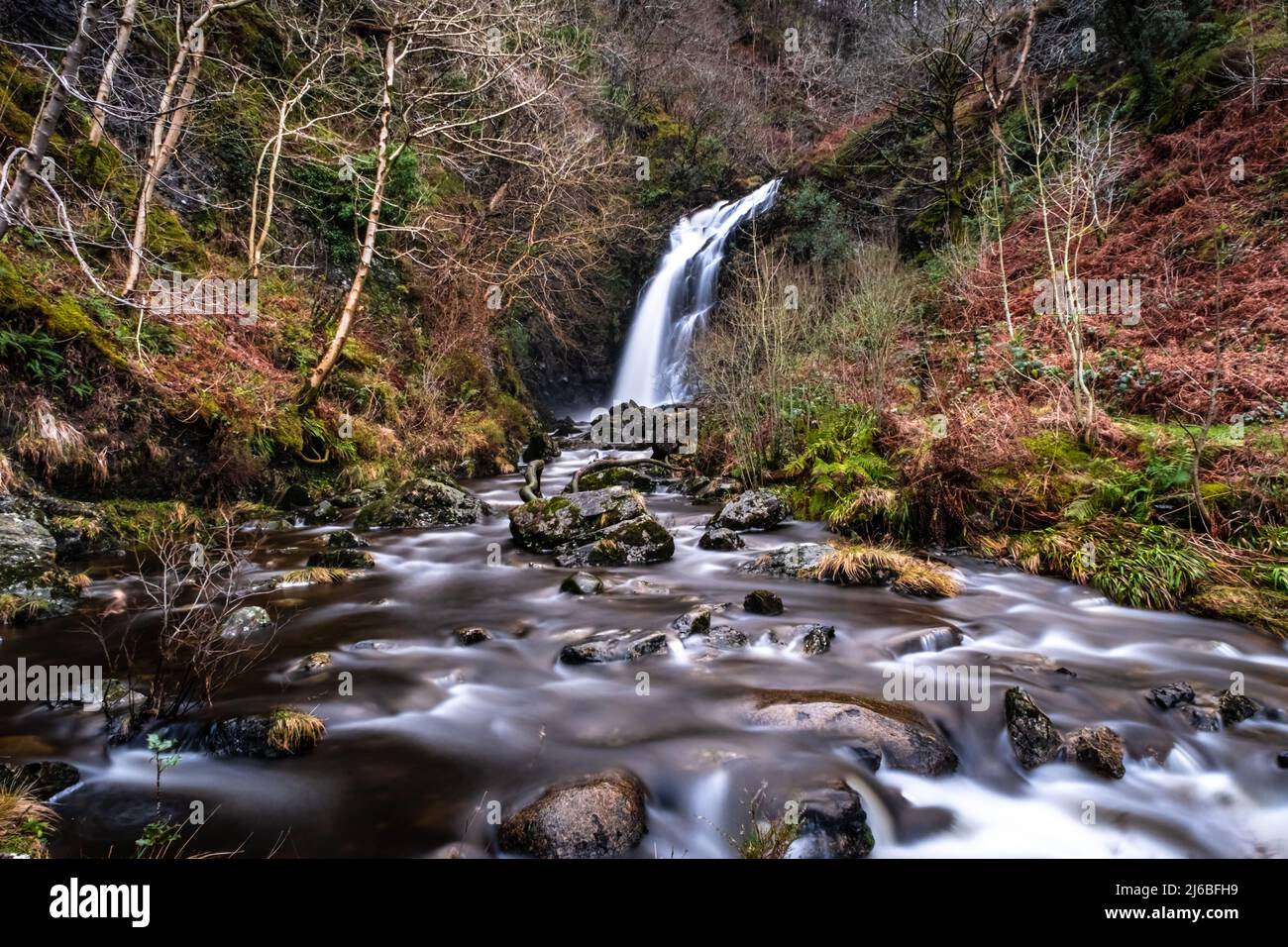 Grey Mare's Tail Waterfall and burn in winter, Galloway Forest Park, Scotland Stock Photo