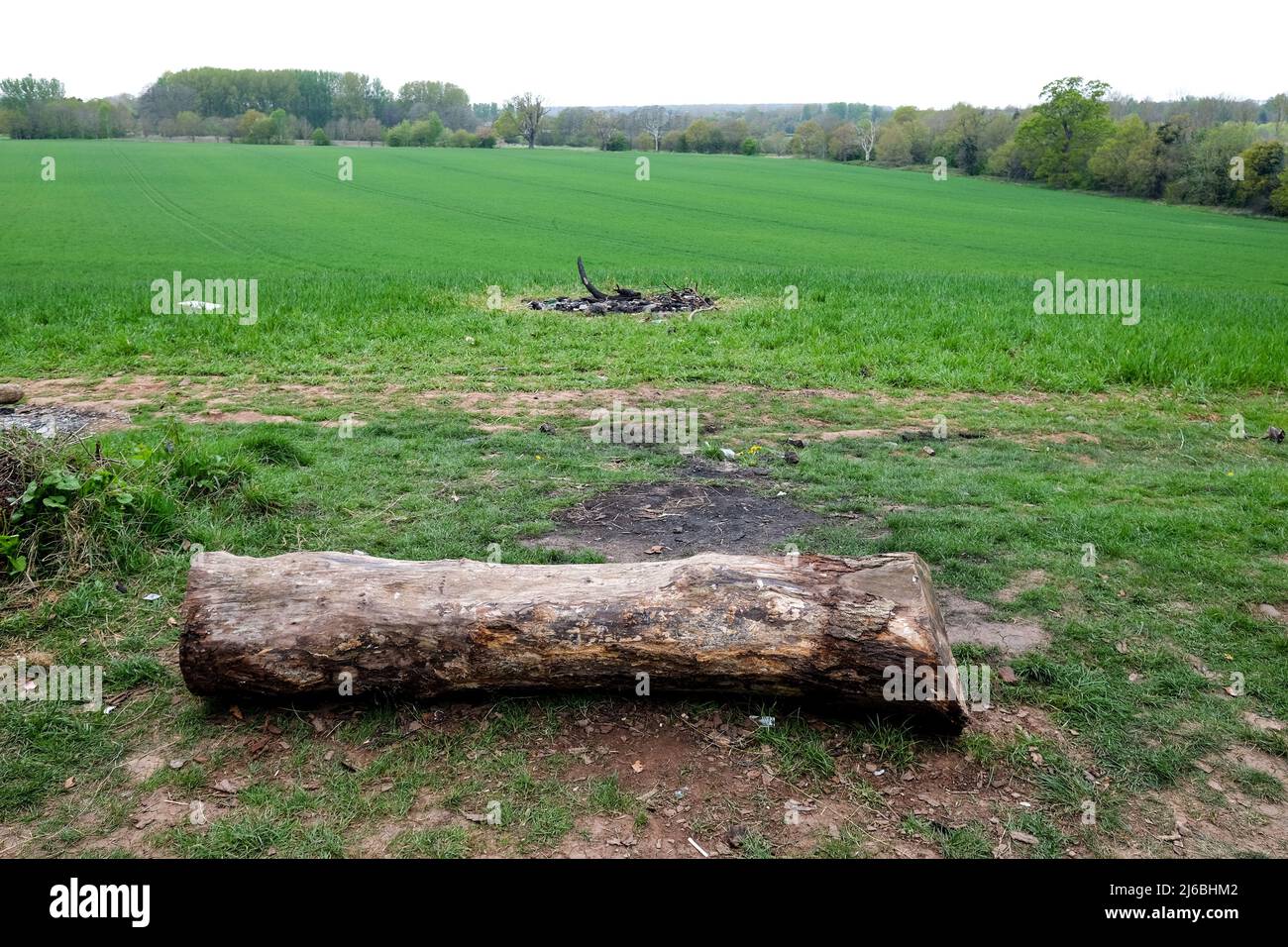 remains of a fire and a log in a field in garendon park leicestershire