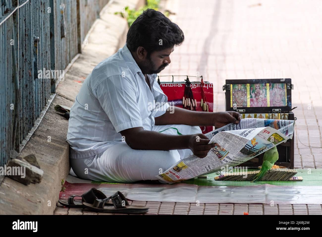 Vellore, Tamil Nadu, India - September 2018: An Indian fortune teller wearing a white shirt sitting beside his pavement shop and reading a newspaper. Stock Photo