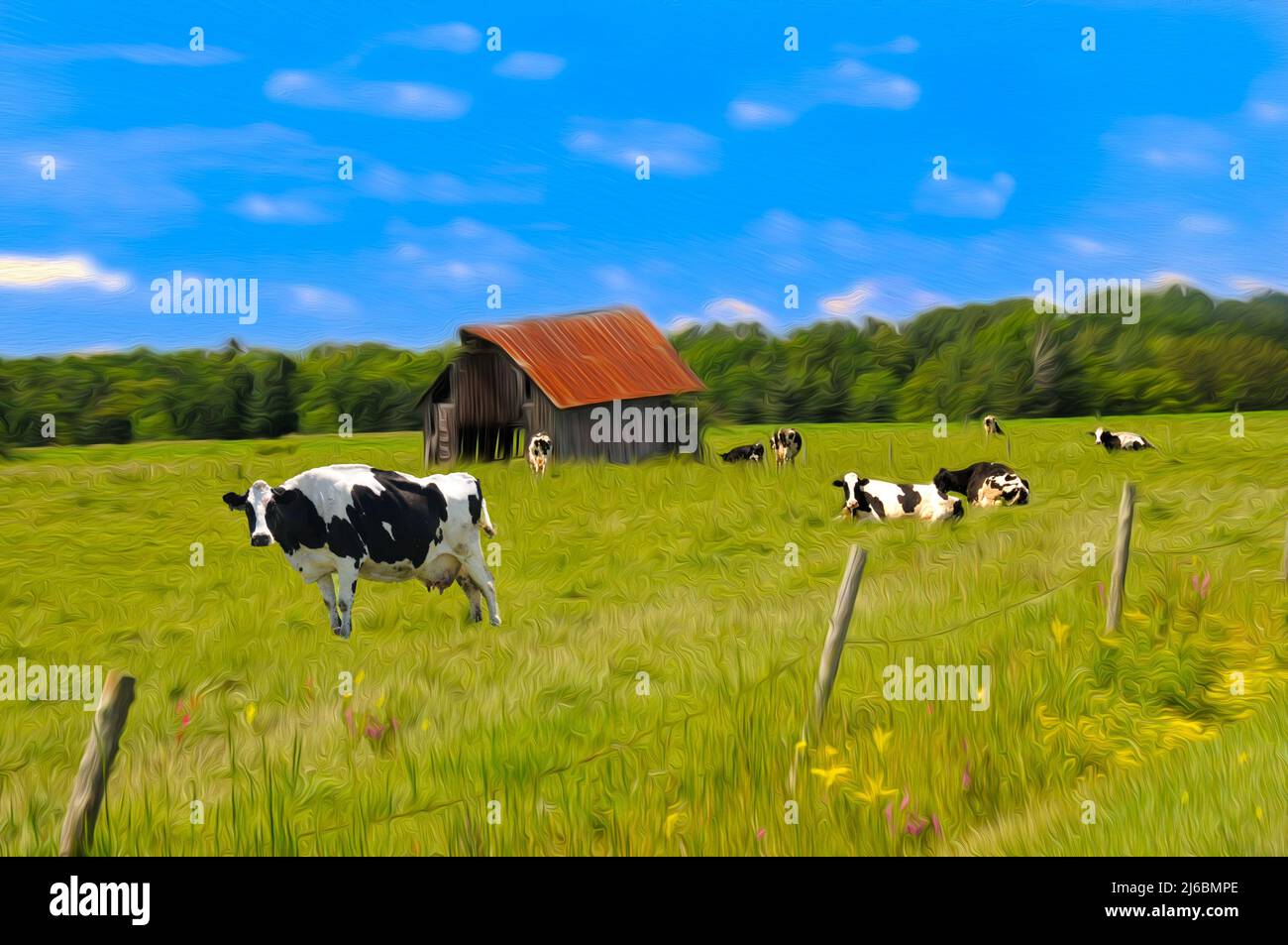 Row black white holstein cows hi-res stock photography and images - Alamy