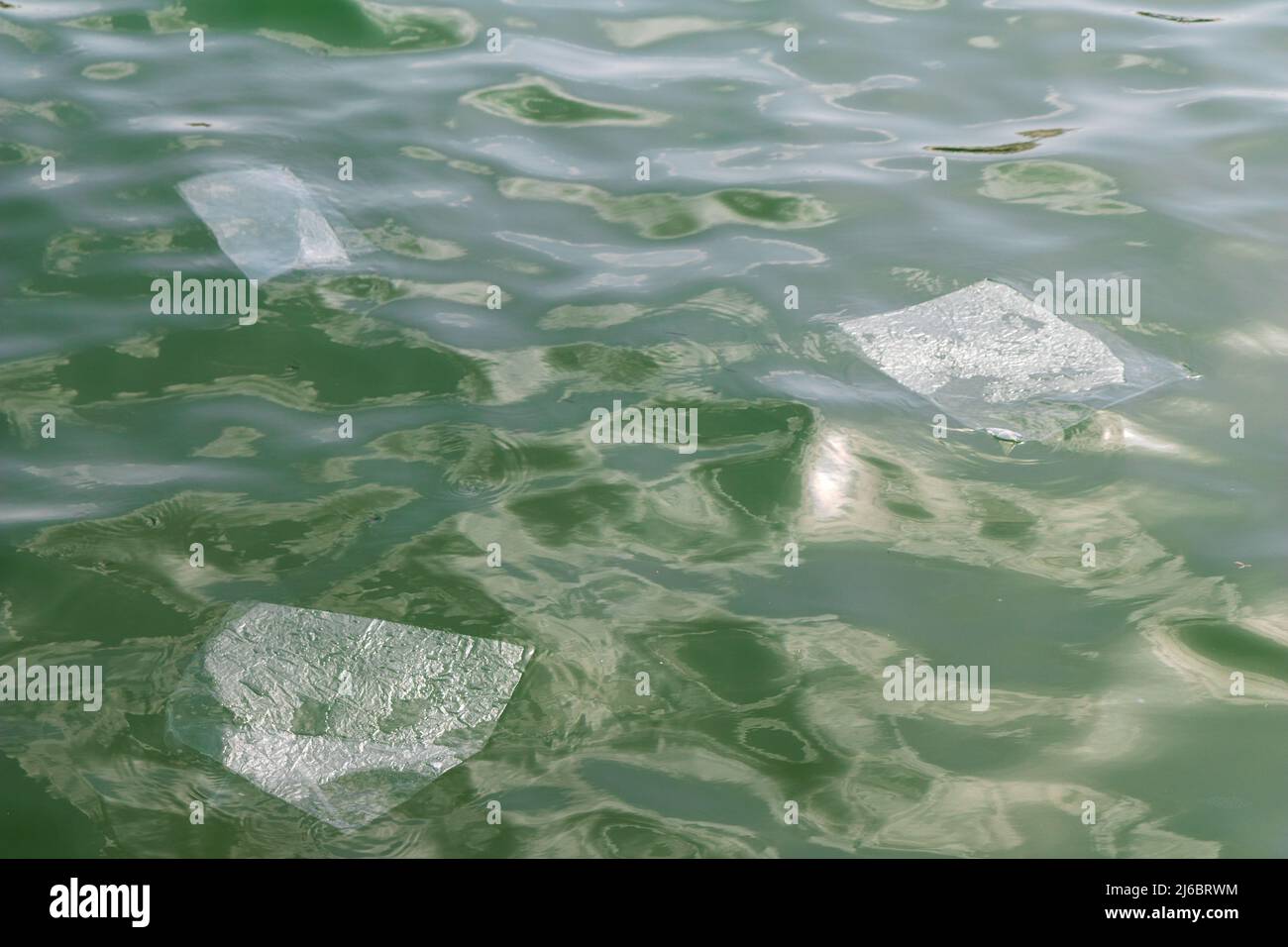 Plastic floating in the sea Stock Photo Alamy