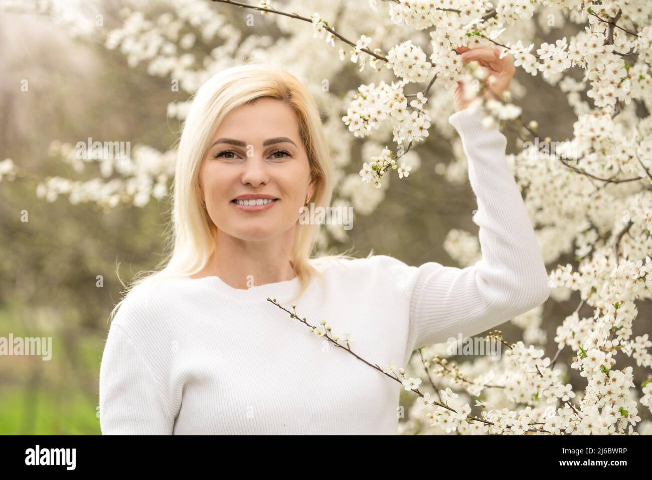 beautiful young woman in blooming cherry blossoms garden Stock Photo ...