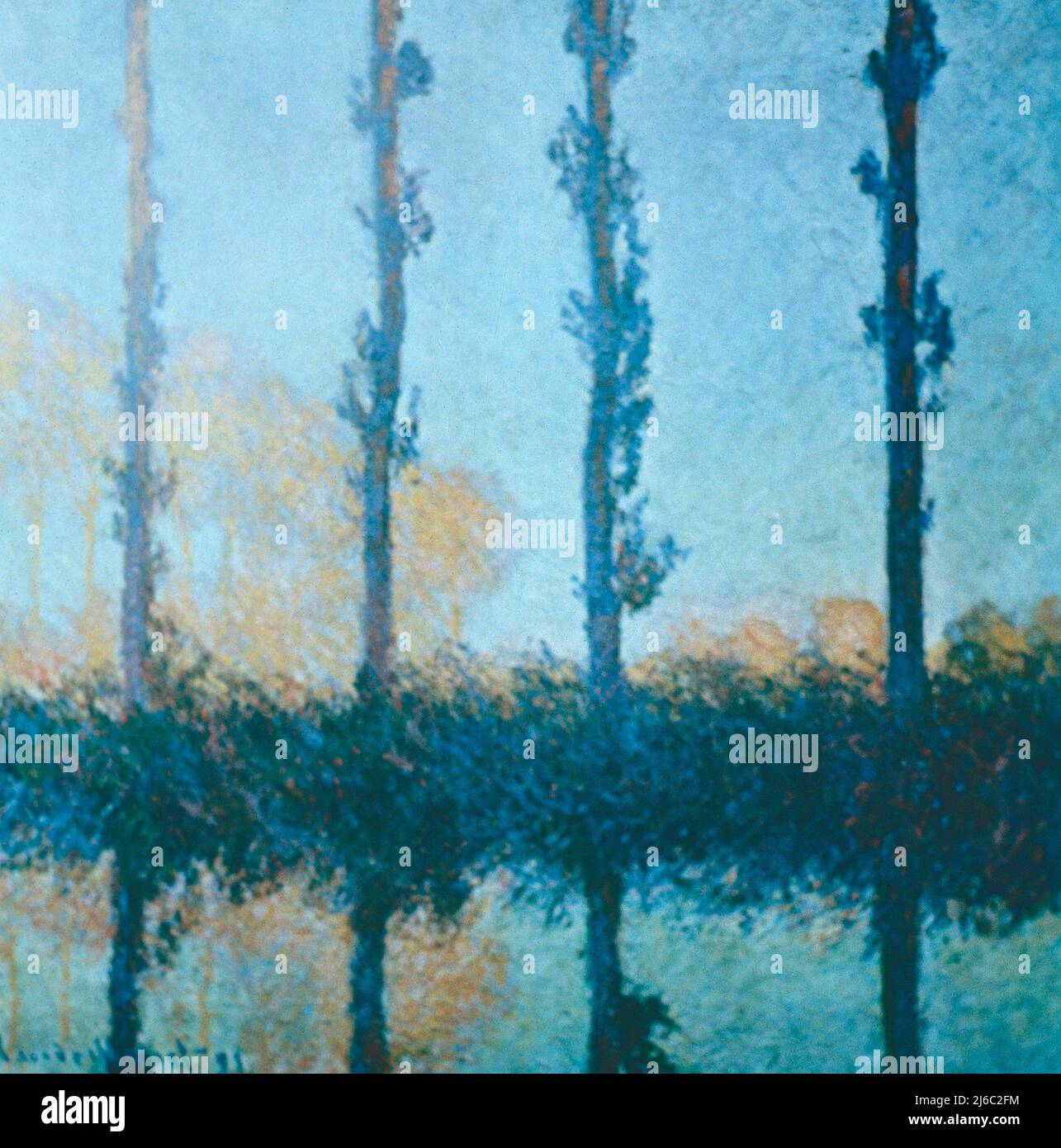 Poplar trees, painting by French artist Claude 1891 Stock Photo