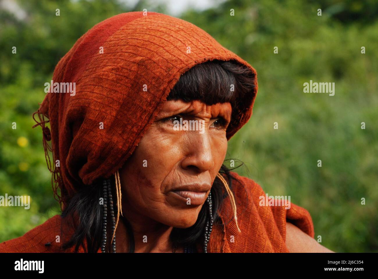 Indian woman from the Arawete Amazon tribe in Brazil Stock Photo Alamy