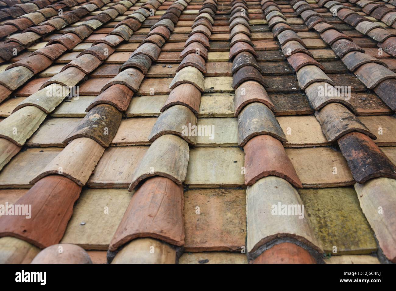 parthenon roof tiles