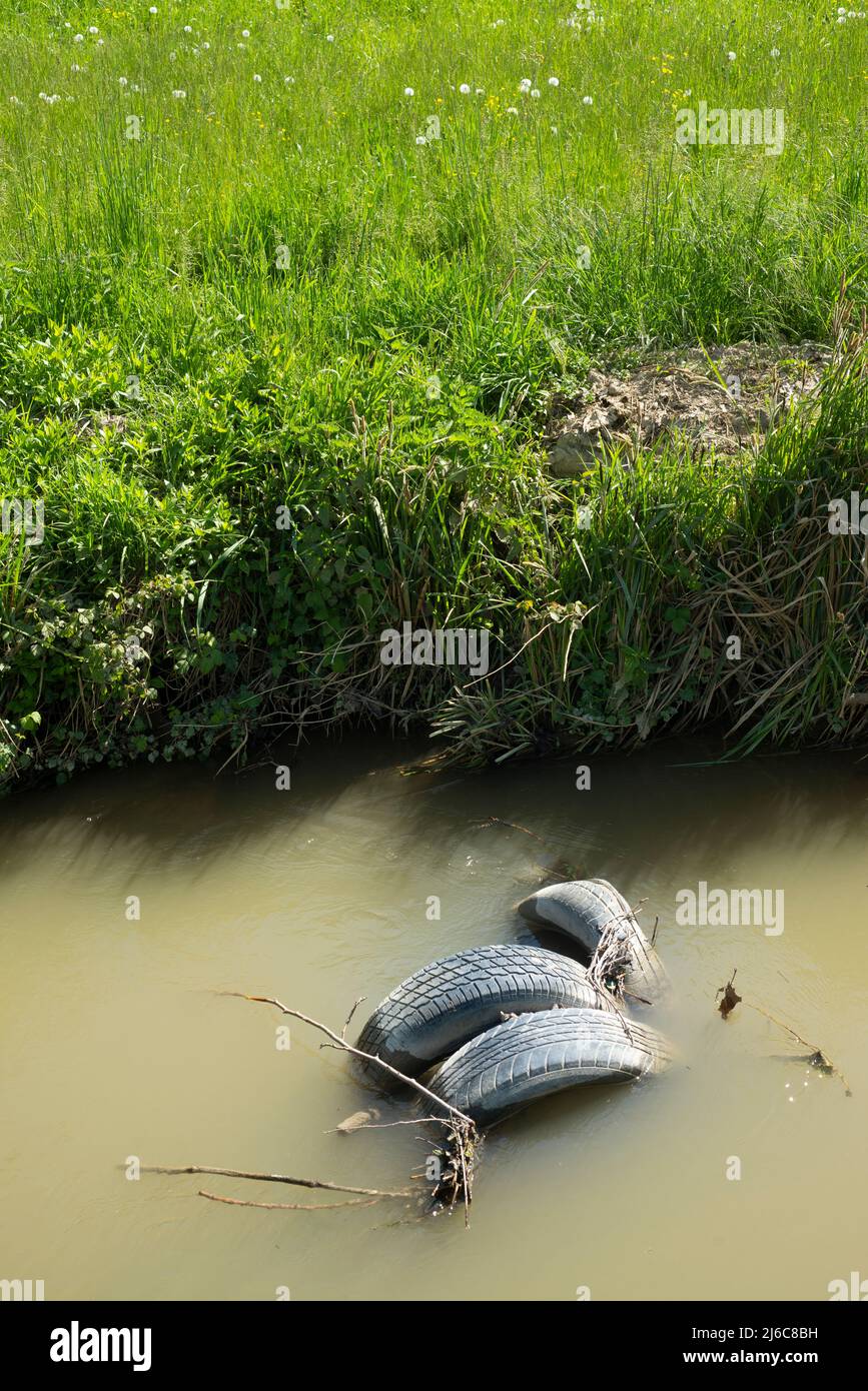Italy, Lombardy, Vehicle Tyre Tire Abandoned in Water Stock Photo