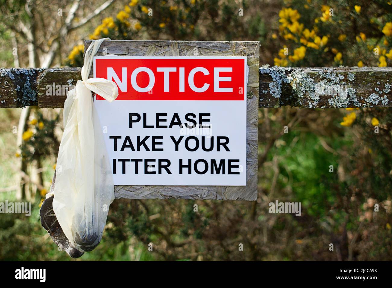 DISCARDED BAG FULL OF DOG FAECES LEFT BY IRRESPONSIBLE OWNER ON A COUNTRY FOOTPATH WITH A WARNING SIGN Stock Photo