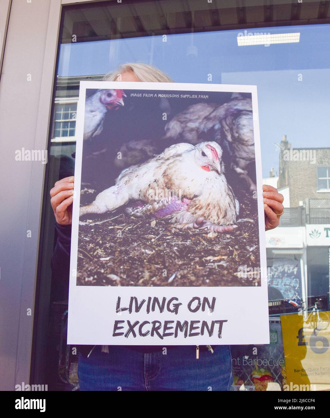 April 30, 2022, London, England, United Kingdom Animal welfare