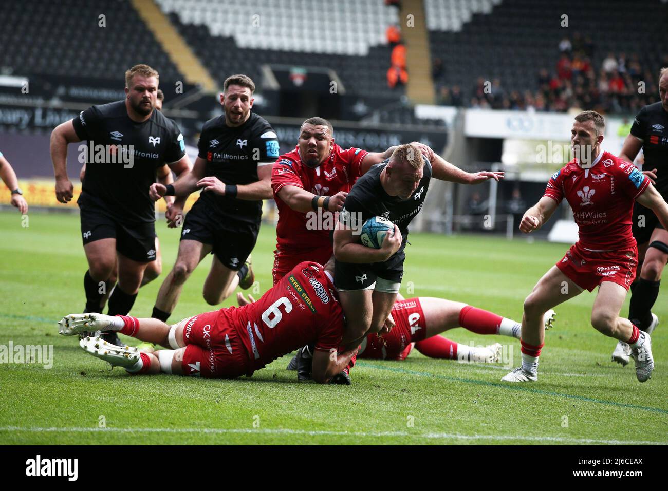 Short rugby toulouse sale