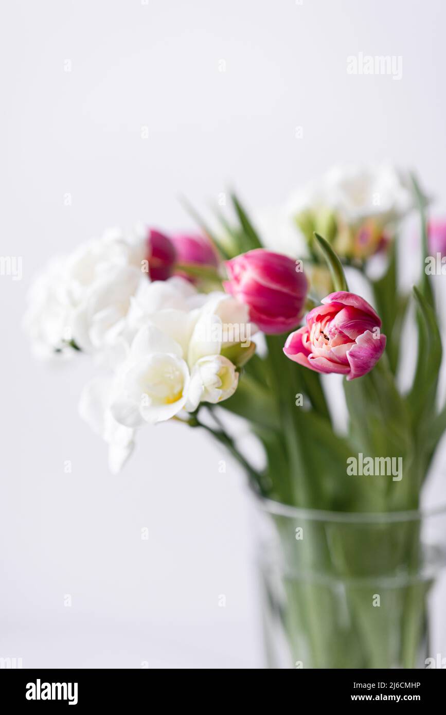 Pink Tulips Flowers Bouquet on a Light Background Stock Photo