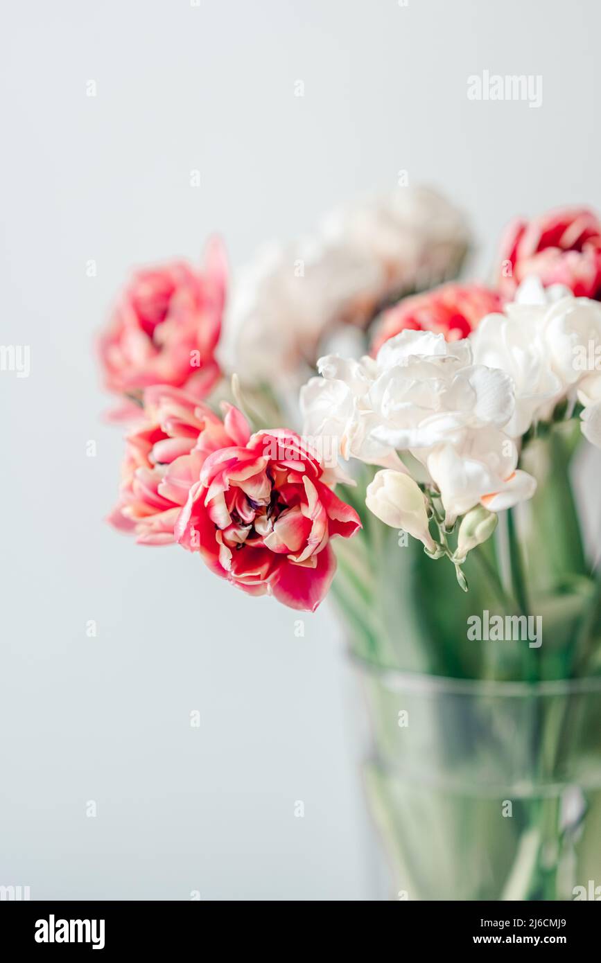 Pink Tulips Flowers Bouquet on a Light Background Stock Photo - Alamy