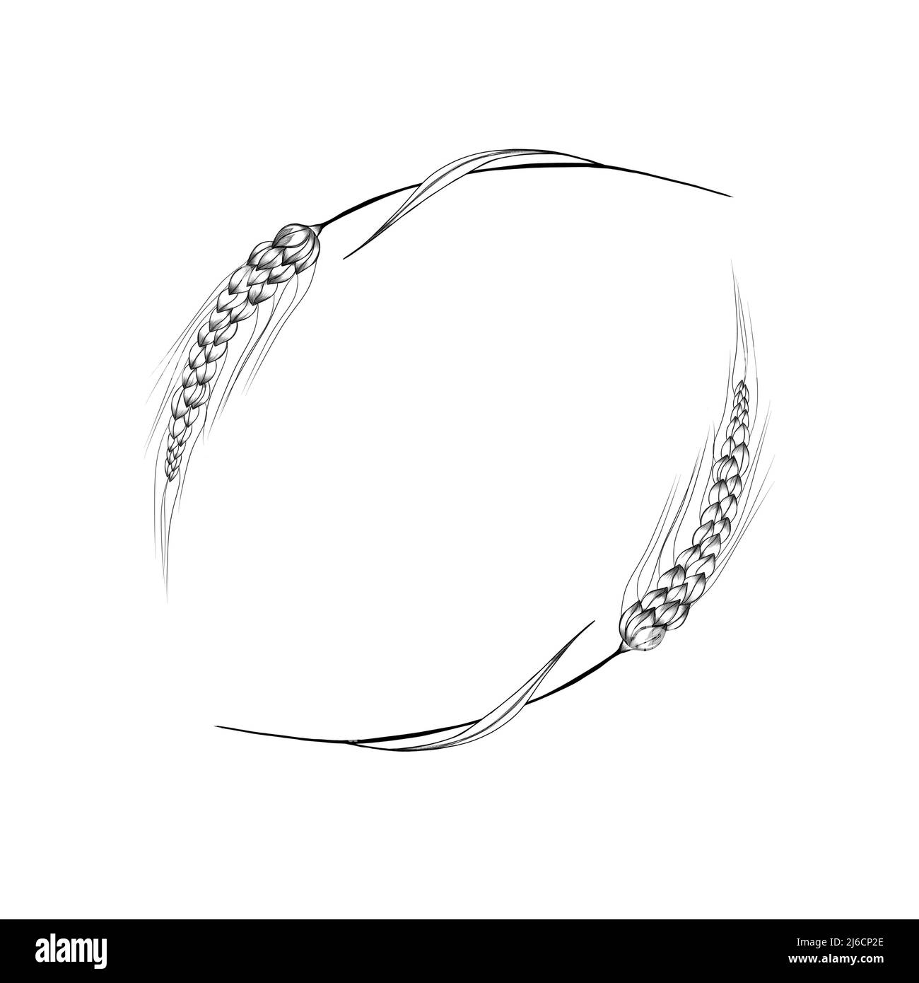 Bag with Wheat Grain and Spikelet Isolated Stock Vector - Illustration of  farm, grain: 250735473, image size:1300x1390