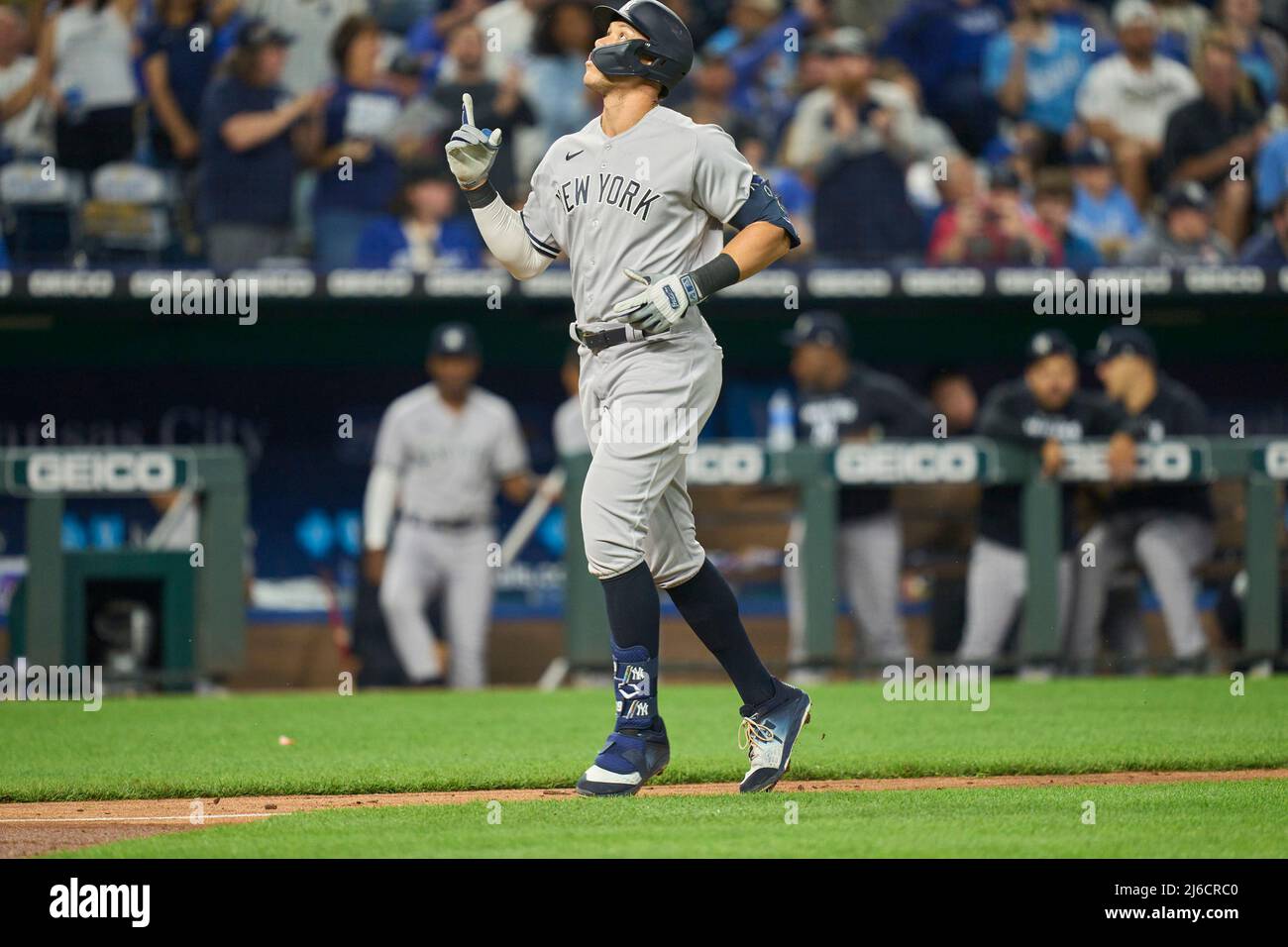 Kansas City Royals Preview Aaron Judge Pitching Matchups and Key Performers