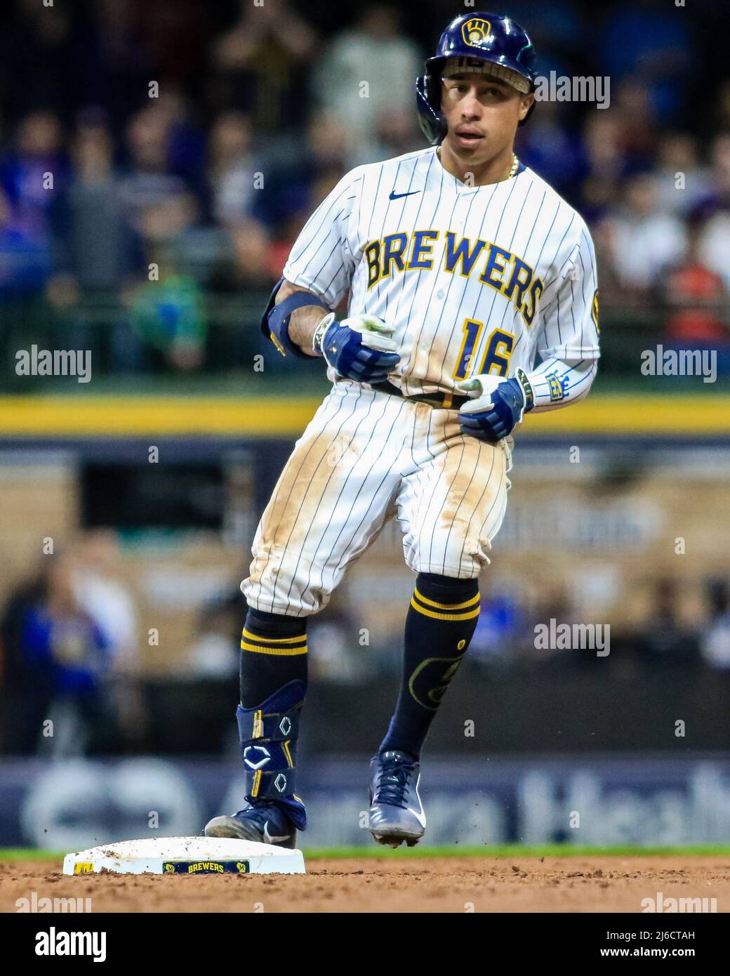 April 29, 2022 - Milwaukee Brewers second baseman Kolten Wong (16) is hit  by a pitch during MLB Baseball action between Chicago and Milwaukee at  Miller Park in Milwaukee, WI.(Credit Image Stock Photo - Alamy