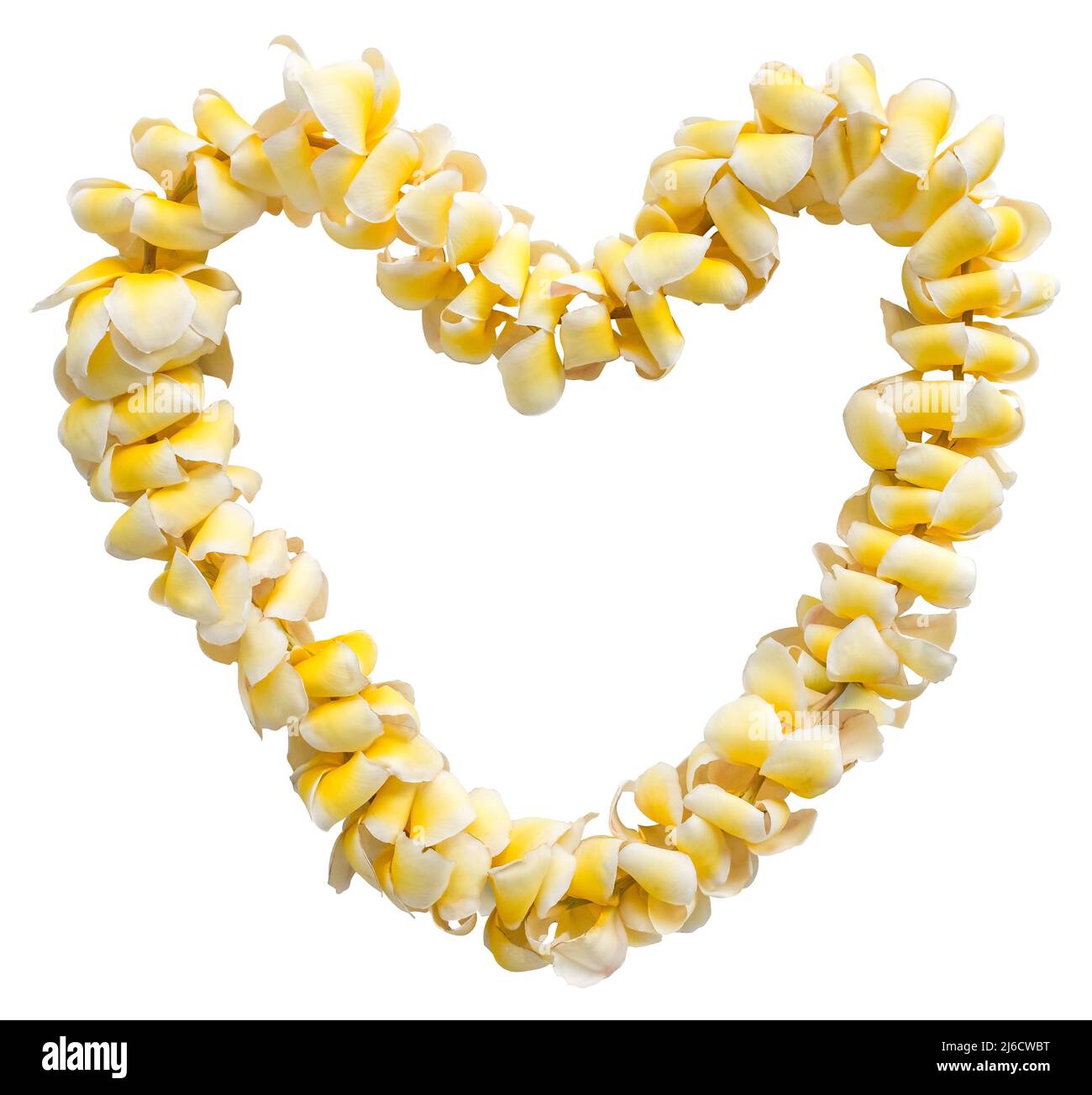 Isolated Romantic Heart-Shaped Hawaiian Lei (Garland of Flowers), On A White Background Stock Photo