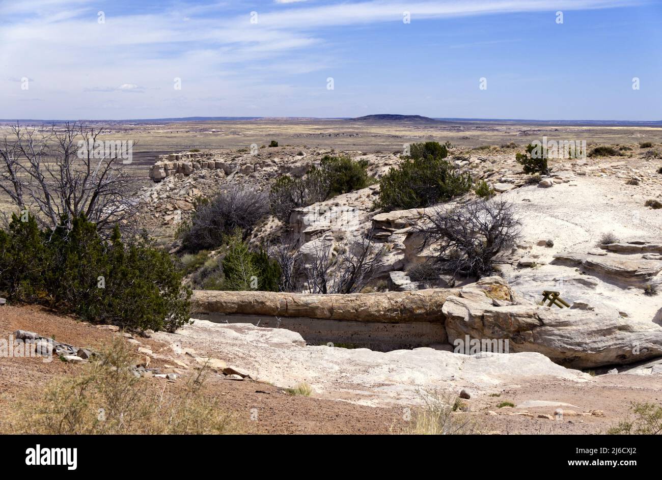 Agate bridge in petrified hi-res stock photography and images - Alamy