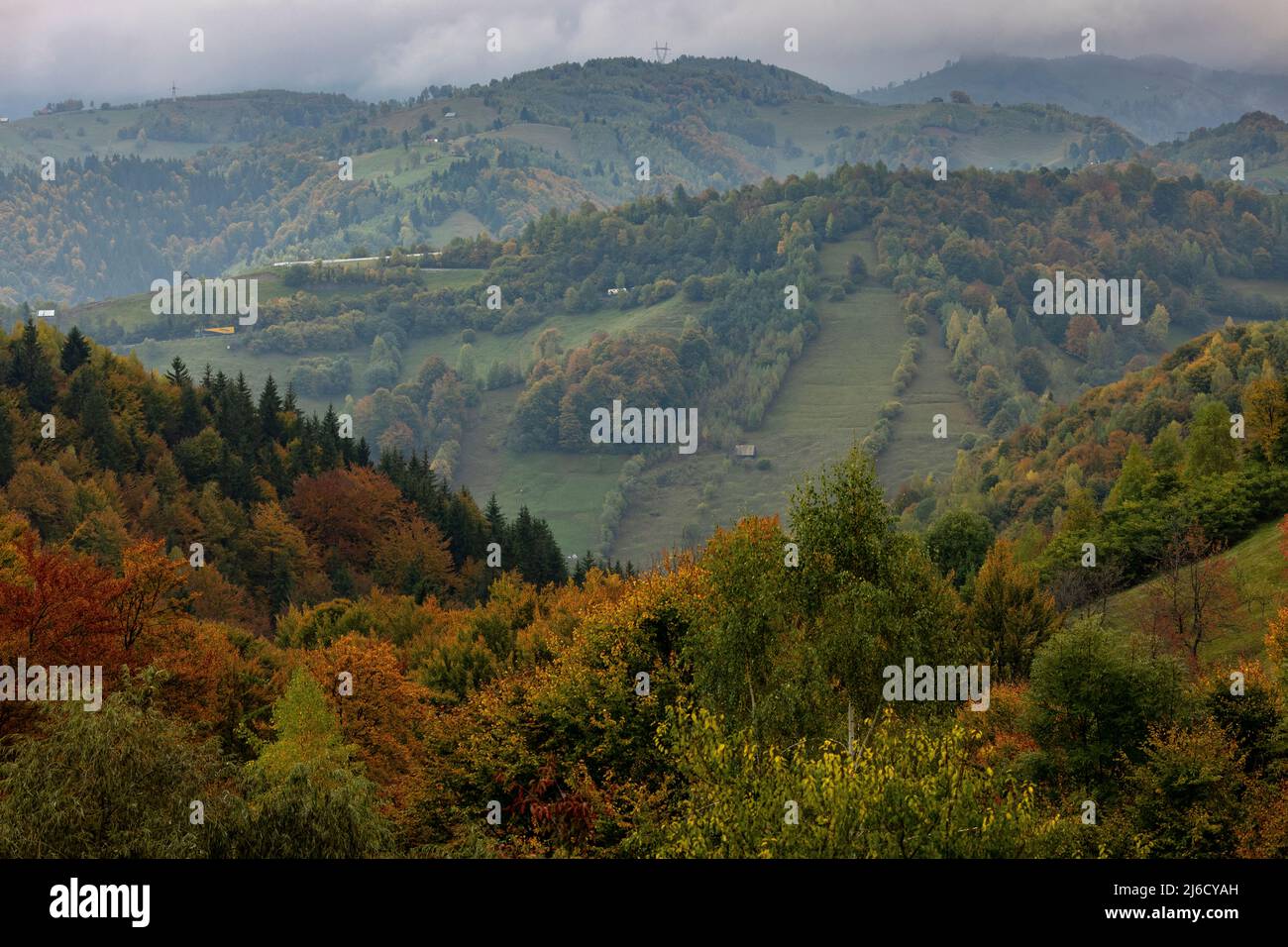 Autumn colours in woodlands and pastures in the Piatra Craiului National Park, near Magura; Carpathians, Romania. Stock Photo