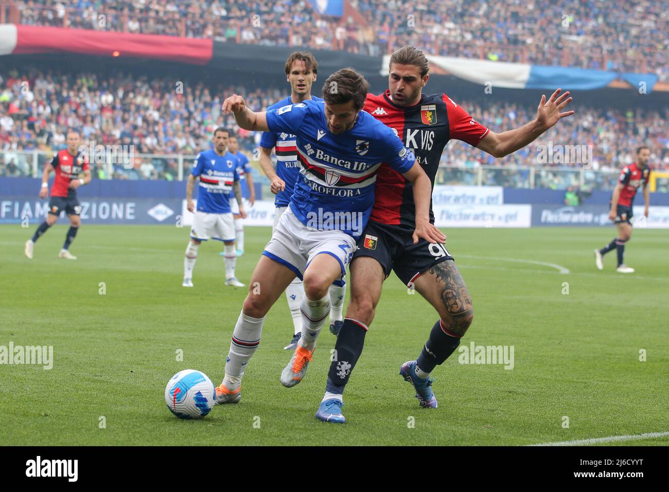 Genoa, Italy. 30 April 2022. Manolo Portanova of Genoa CFC in action during  the Serie A football match between UC Sampdoria and Genoa CFC. Credit:  Nicolò Campo/Alamy Live News Stock Photo - Alamy