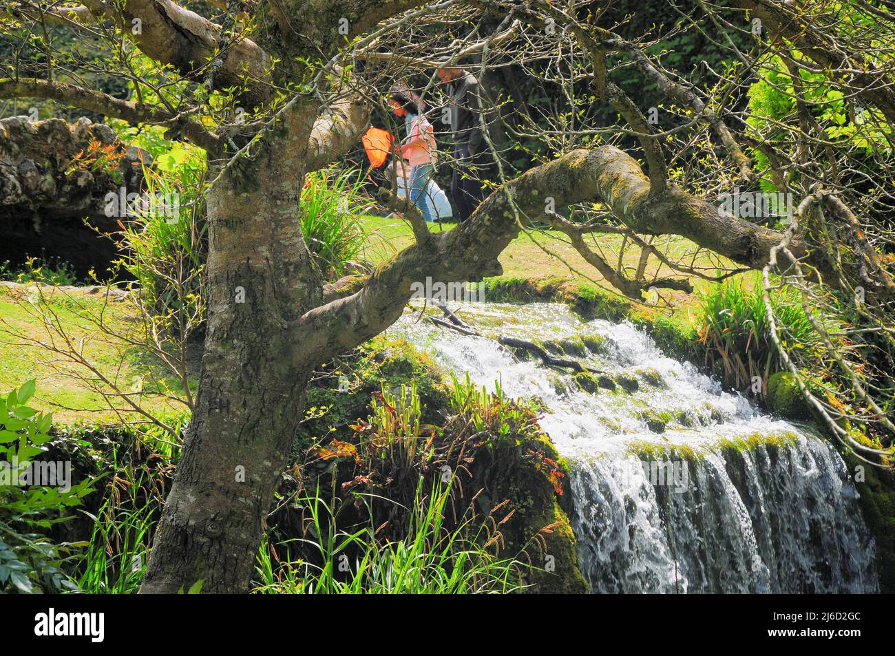 Little Bredy. 30th April 222. UK Weather. The cascade in the Spring sunshine at Bridehead House, Little Bredy : as seen in the 'Broadchurch' T.V. series. credit: stuart fretwell/Alamy Live News Stock Photo