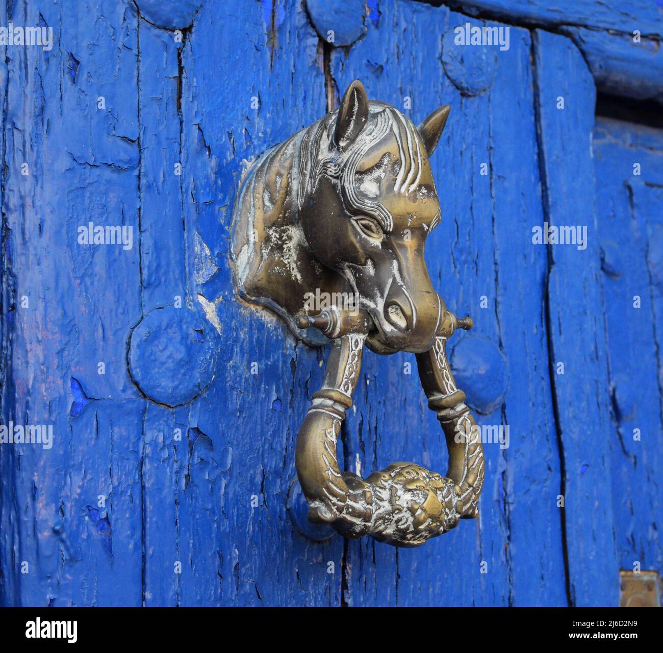 Horse head knocker on blue wooden door Stock Photo - Alamy