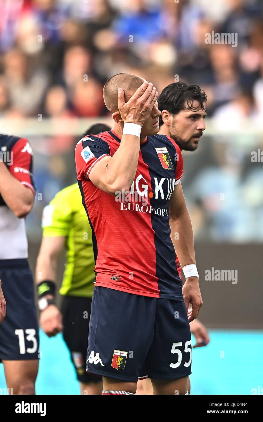 Genoa, Italy. 30 April 2022. Leo Ostigard of Genoa CFC in action during the  Serie A football match between UC Sampdoria and Genoa CFC. Credit: Nicolò  Campo/Alamy Live News Stock Photo - Alamy