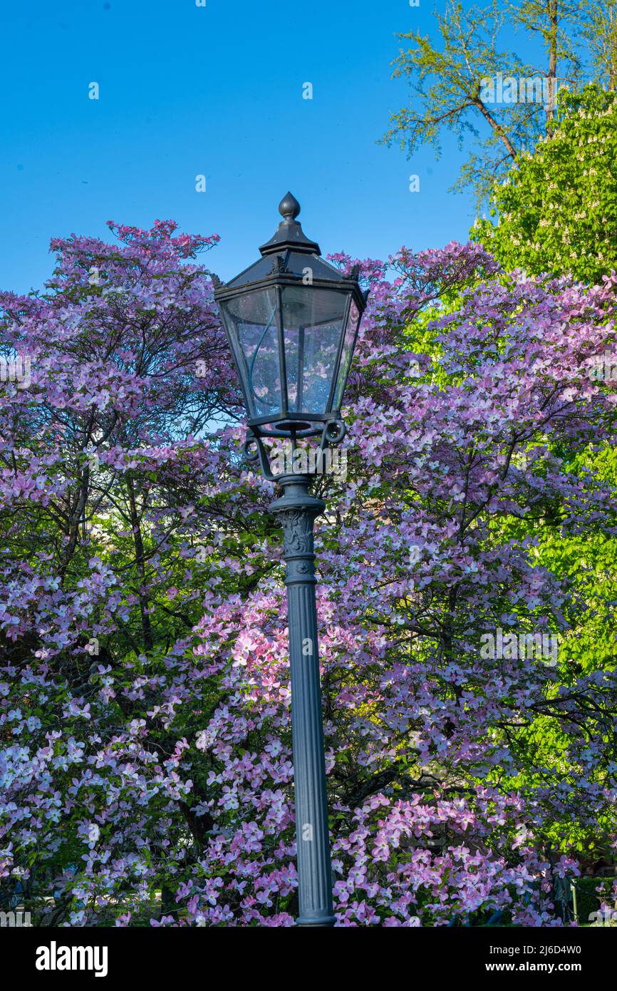 Romantic lanterns in the spa gardens of Baden Baden. Baden Wuerttemberg, Germany, Europe Stock Photo