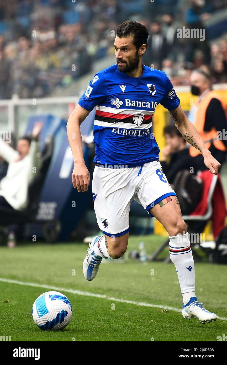 Genoa, Italy. 30 April 2022. Antonio Candreva of UC Sampdoria in action  during the Serie A football match between UC Sampdoria and Genoa CFC.  Credit: Nicolò Campo/Alamy Live News Stock Photo - Alamy