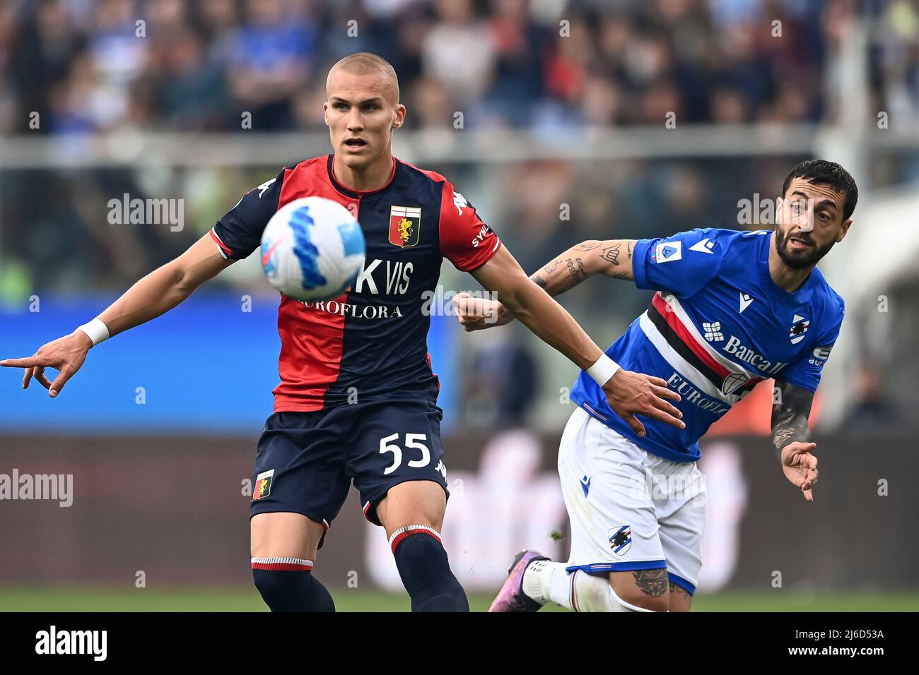 Genoa, Italy. 30 April 2022. Leo Ostigard of Genoa CFC in action during the  Serie A football match between UC Sampdoria and Genoa CFC. Credit: Nicolò  Campo/Alamy Live News Stock Photo - Alamy