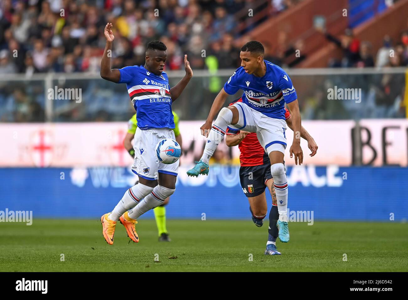 Sampdoria 1-0 Genoa, Sabiri and Audero secure bragging rights for Sampdoria