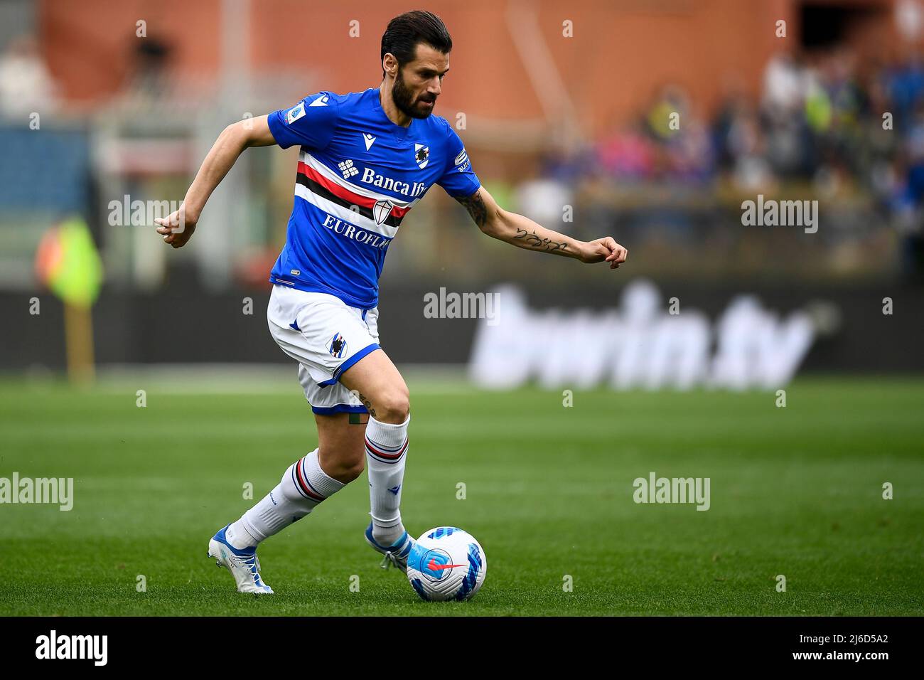 Genoa, Italy. 30 April 2022. Antonio Candreva of UC Sampdoria in action  during the Serie A football match between UC Sampdoria and Genoa CFC.  Credit: Nicolò Campo/Alamy Live News Stock Photo - Alamy