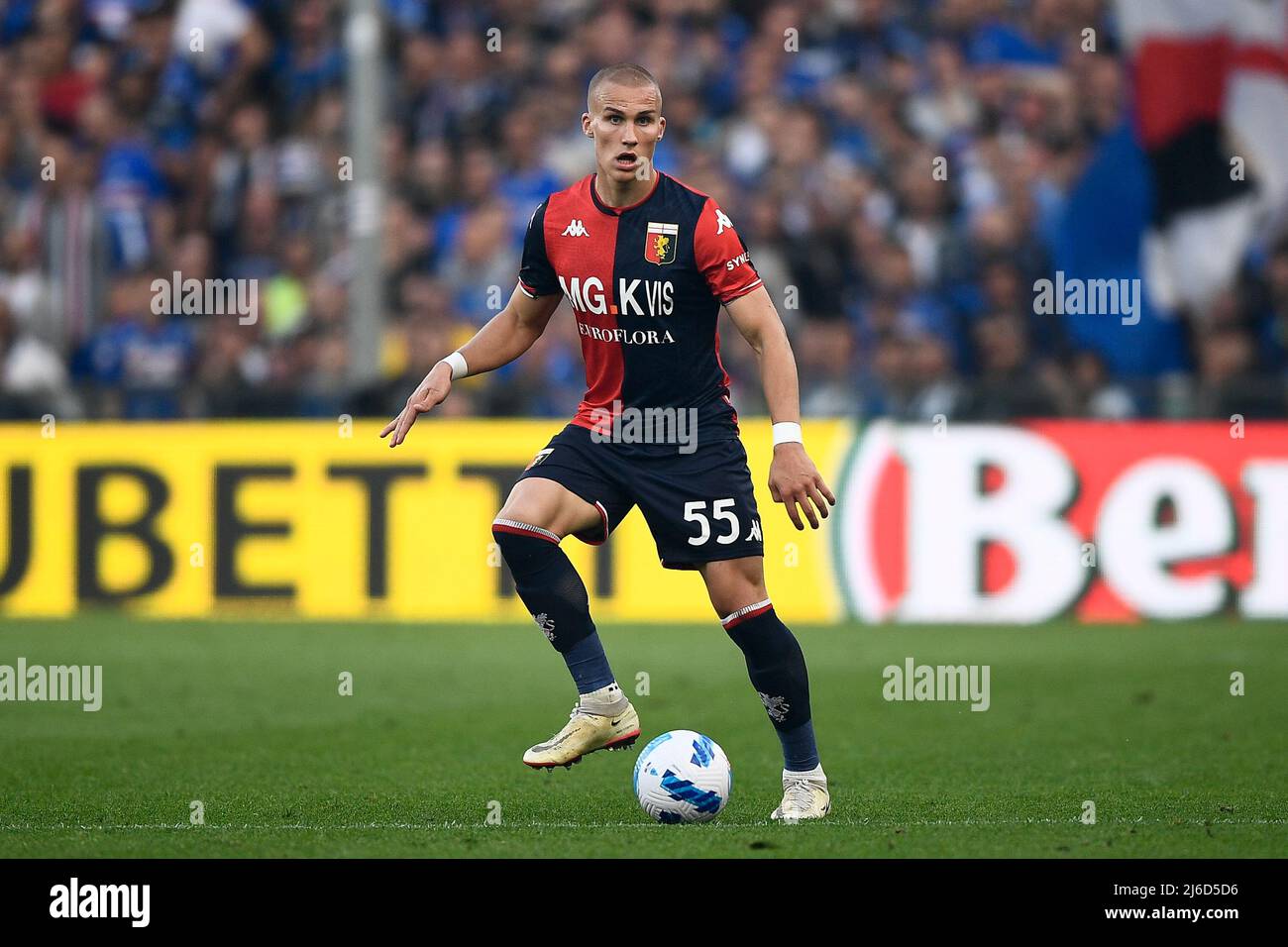 Genoa, Italy. 30 April 2022. Leo Ostigard of Genoa CFC in action during the  Serie A football match between UC Sampdoria and Genoa CFC. Credit: Nicolò  Campo/Alamy Live News Stock Photo - Alamy