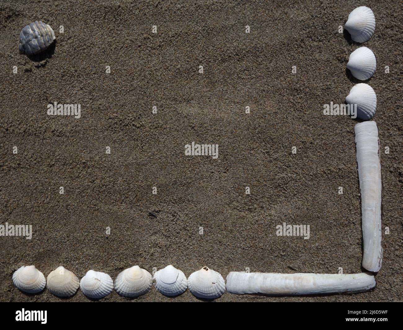 Sea Shells that have been washed ashore are put together here to form a nice frame on the beach. Stock Photo