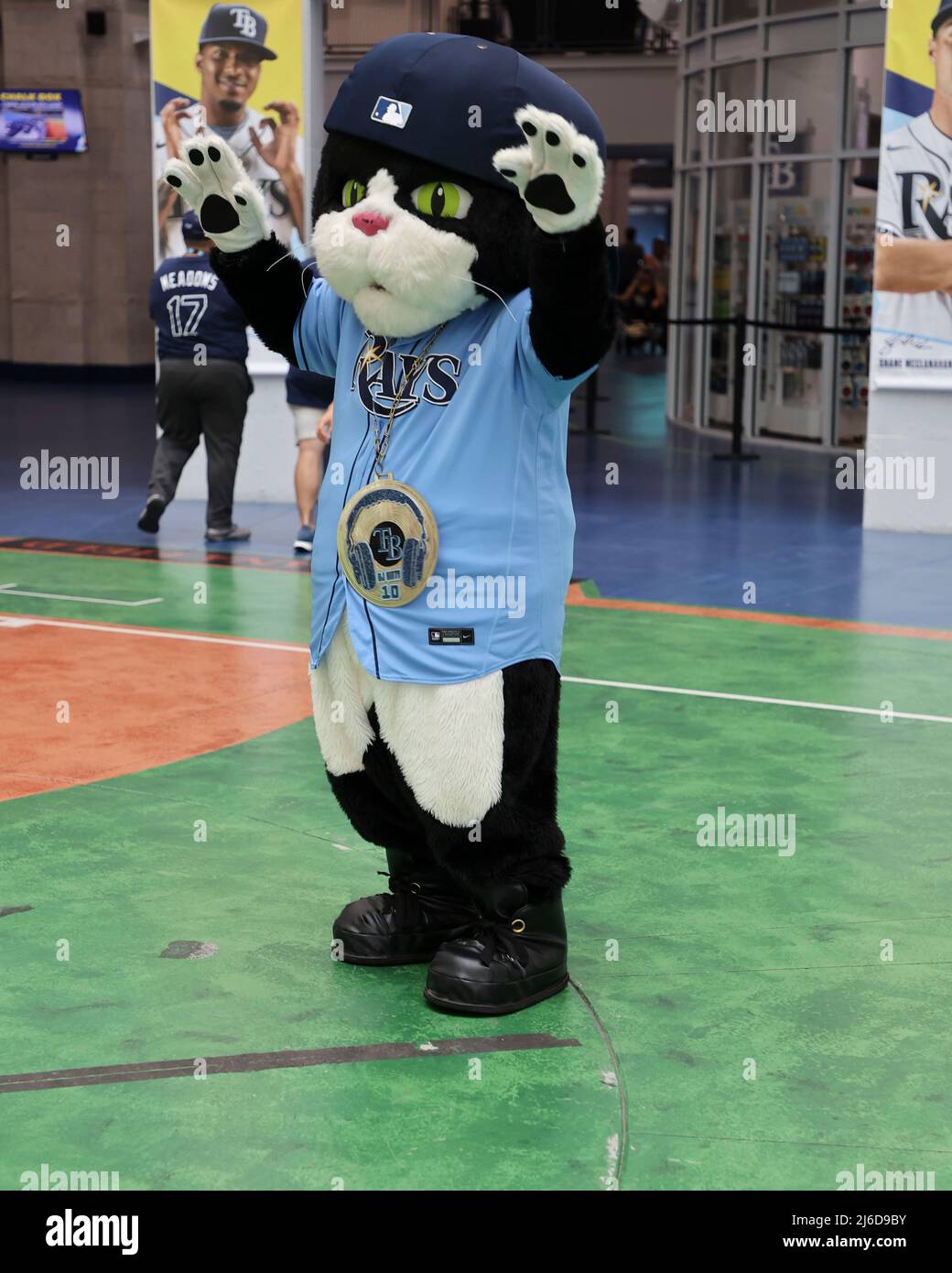 St. Petersburg, FL. USA;  D.J. Kitty, one of the Tampa Bay Rays mascots, greets arriving fans during a major league baseball game between the Tampa Ba Stock Photo
