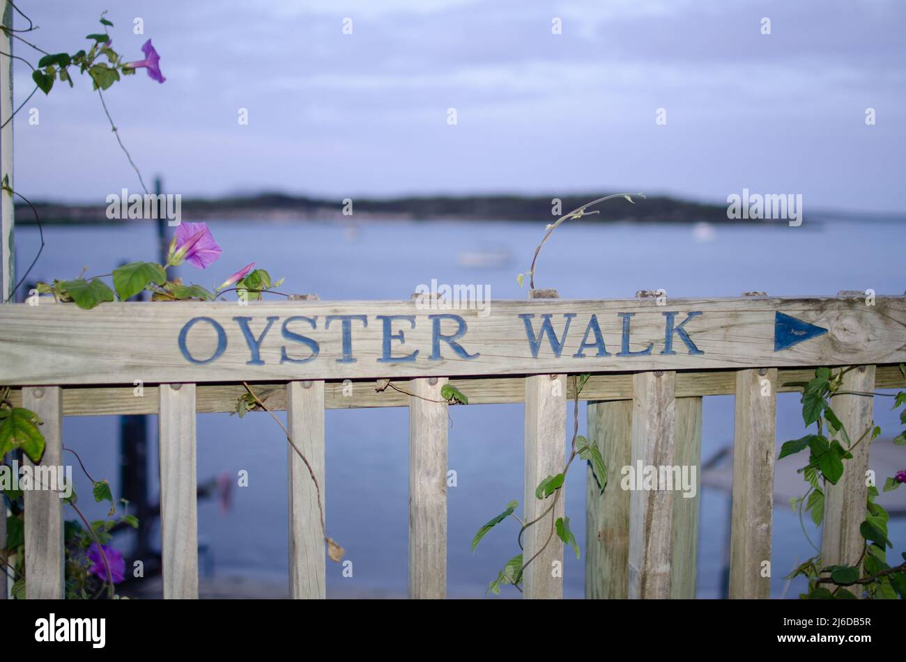 oyster walk sign coffin bay Stock Photo