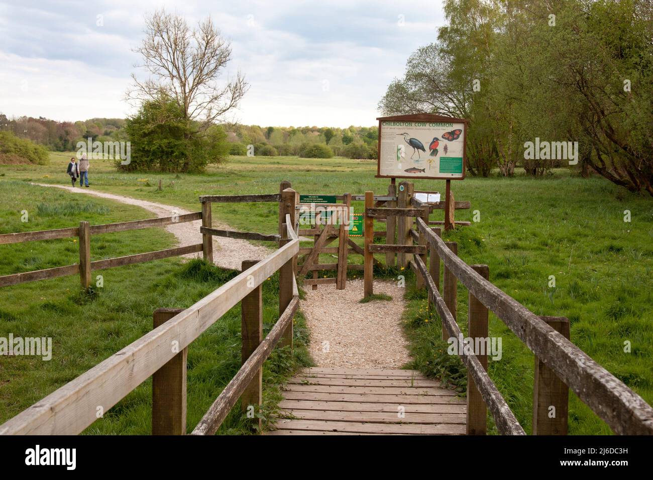 footbridge to Chilbolton Cow Common (SSSI), Wherwell, Stockbridge, Hampshire, England Stock Photo