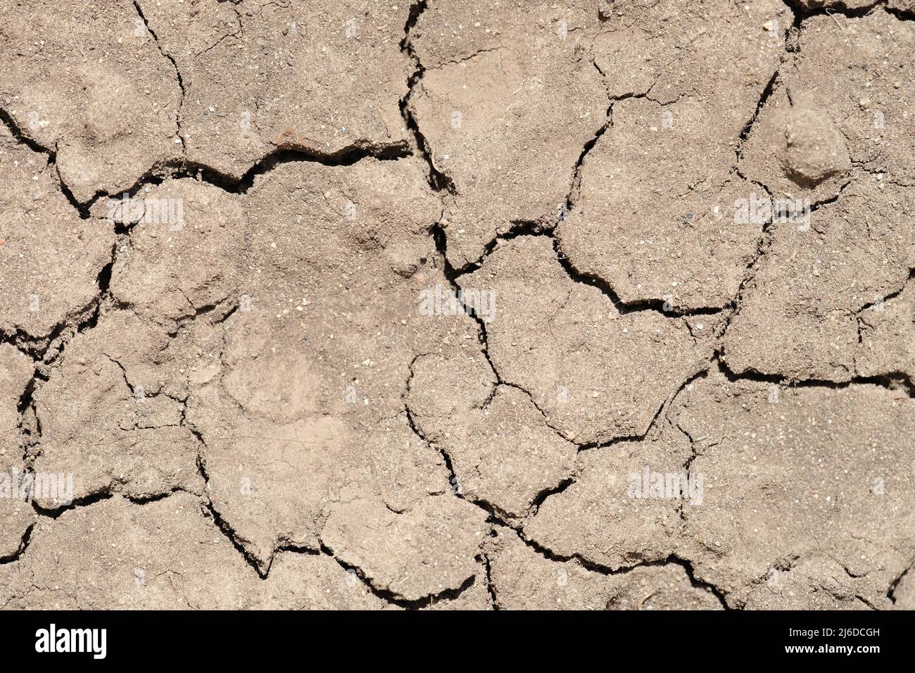 Drought land without water. Dry effect of drought land without water
