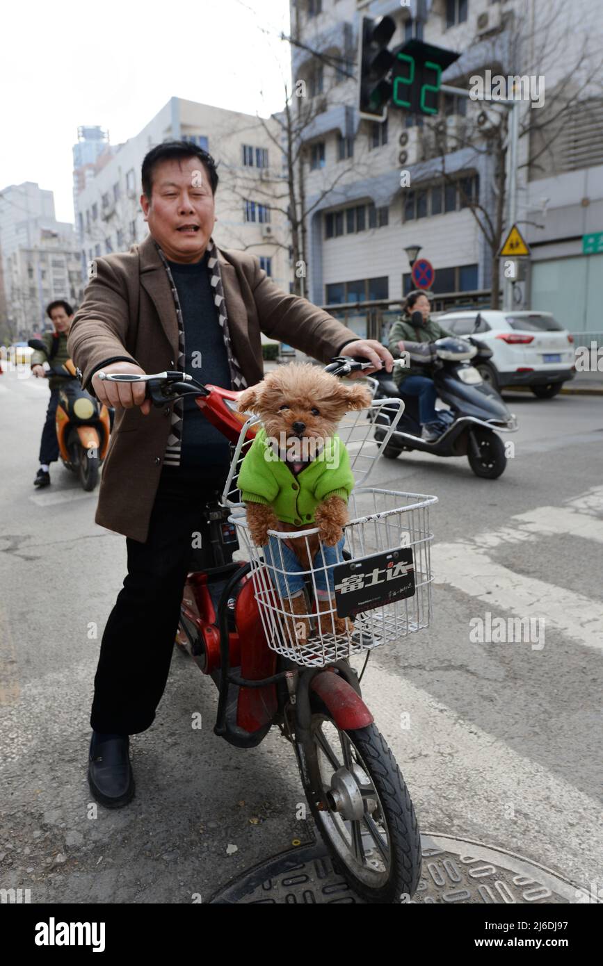 A Chinese man with his cute pet dog in Nanjing, China. Stock Photo