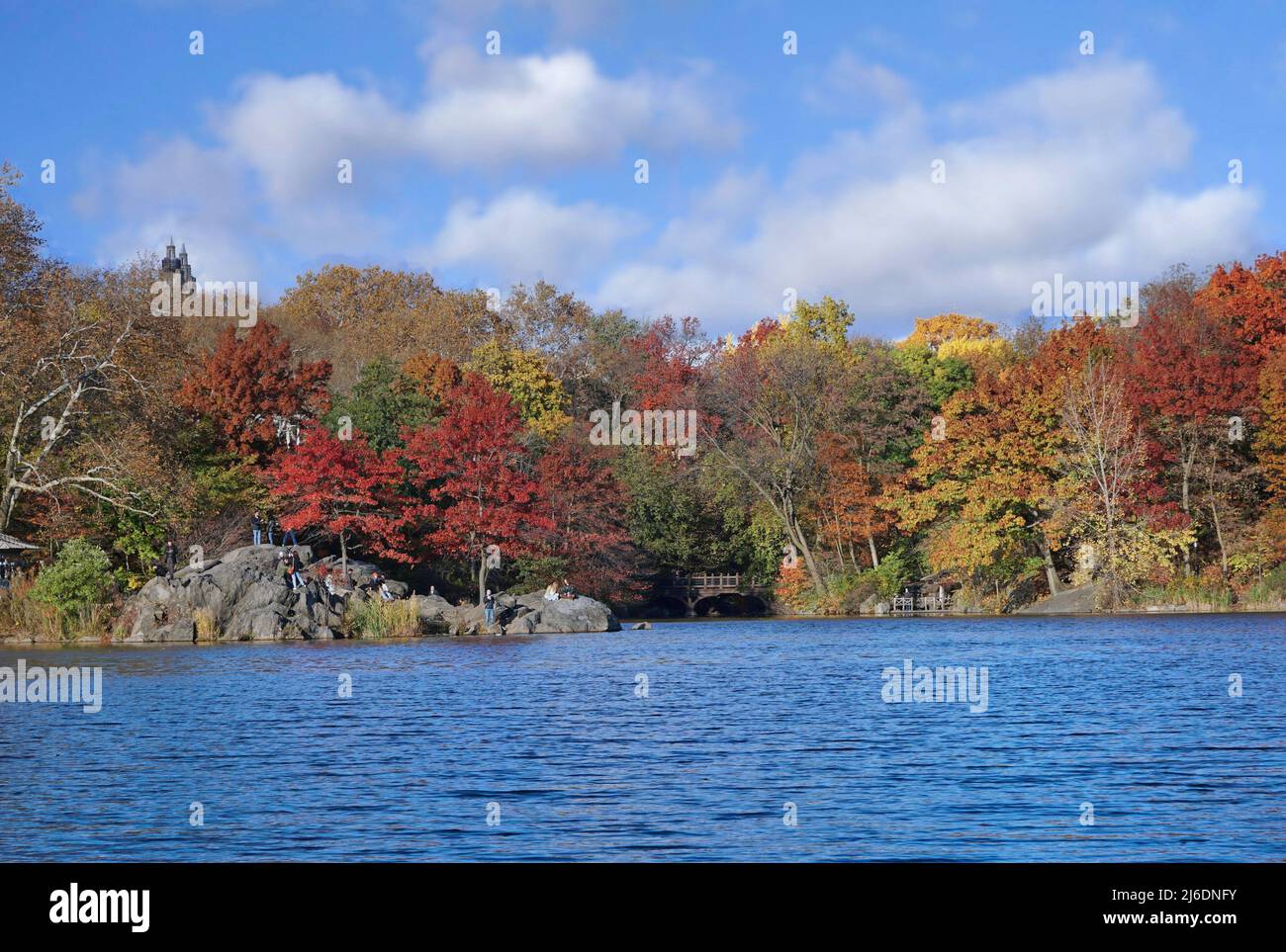 Lake in Central Park, New York Stock Photo Alamy