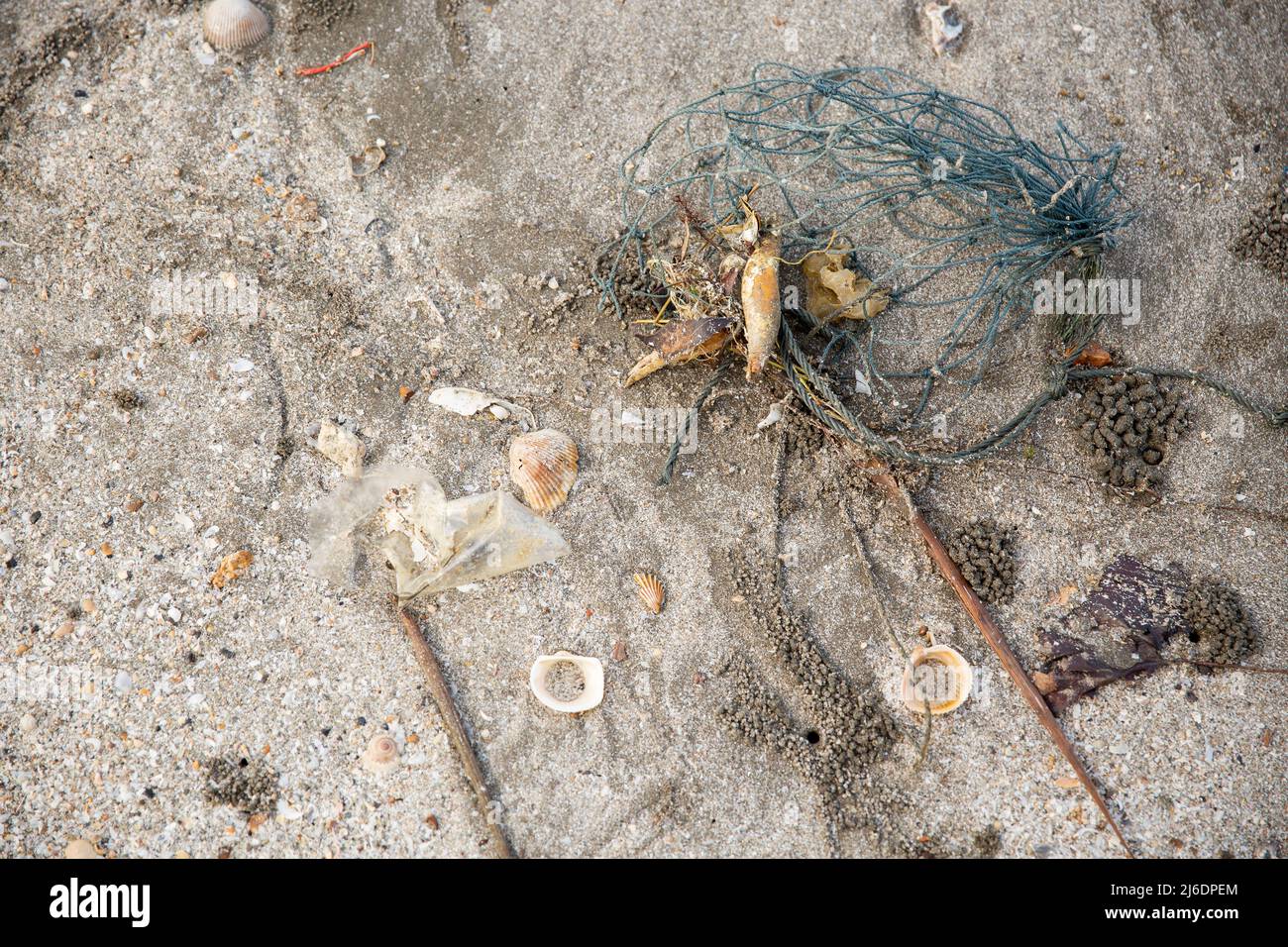 Garbage dumped on the beach, marine garbage Stock Photo