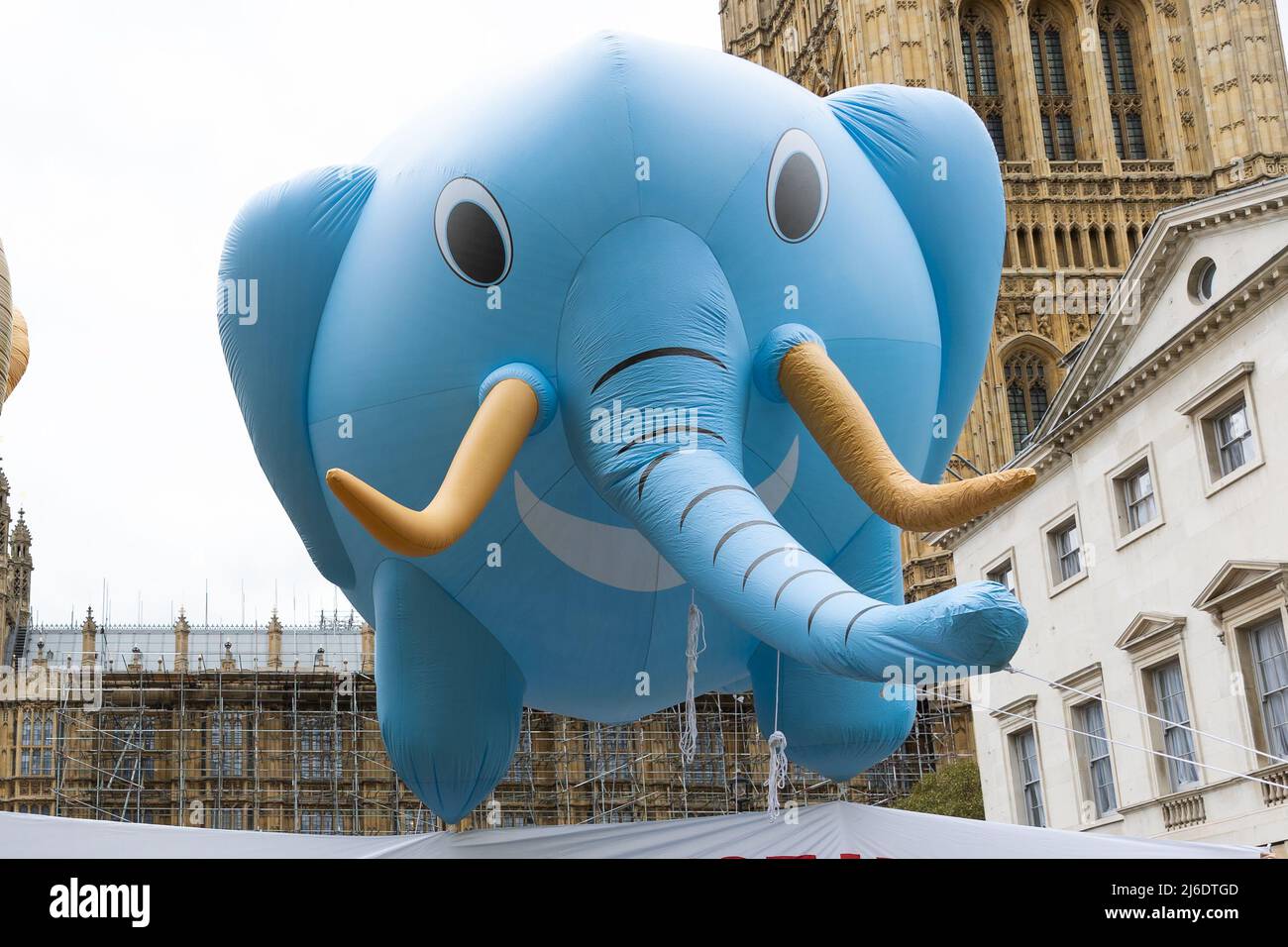 A balloon depicting an elephant flies over Parliament Square during a protest in College Green. Animal rights activists erected two large inflatable balloons in the shape of a lion and an elephant in support of the Animal Protection Bill that is currently before Parliament. The bill would ban the imports of Foie Gras as well as hunting trophies, and the promotion of elephant tourist rides overseas (Photo by Tejas Sandhu / SOPA Images/Sipa USA) Stock Photo