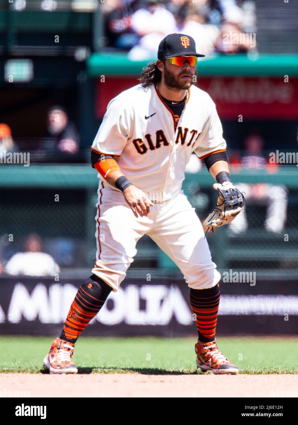 Brandon crawford hi-res stock photography and images - Alamy