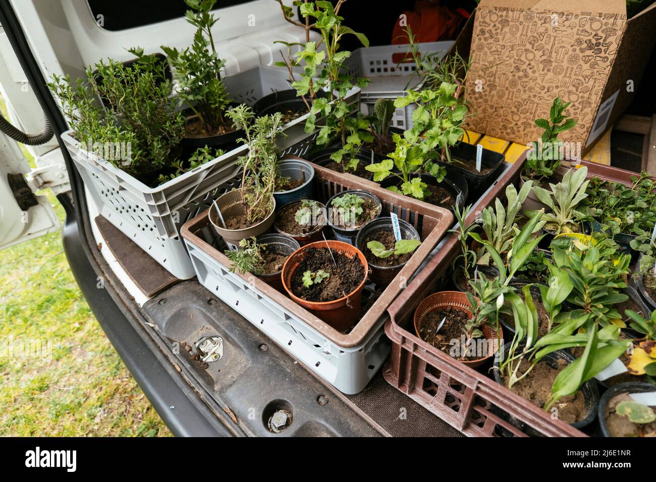 Van loaded with plants for a plant swap event. Stock Photo